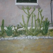 Elżbieta Goszczycka - Cypryjski ogródek z kaktusami