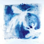 Iwona Winiarczyk -  Niebieskie ważki