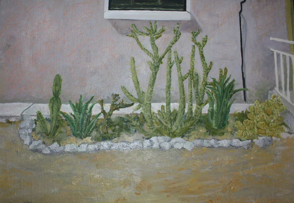 Cypryjski ogródek z kaktusami